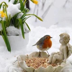 Meet your Posher, Jeana